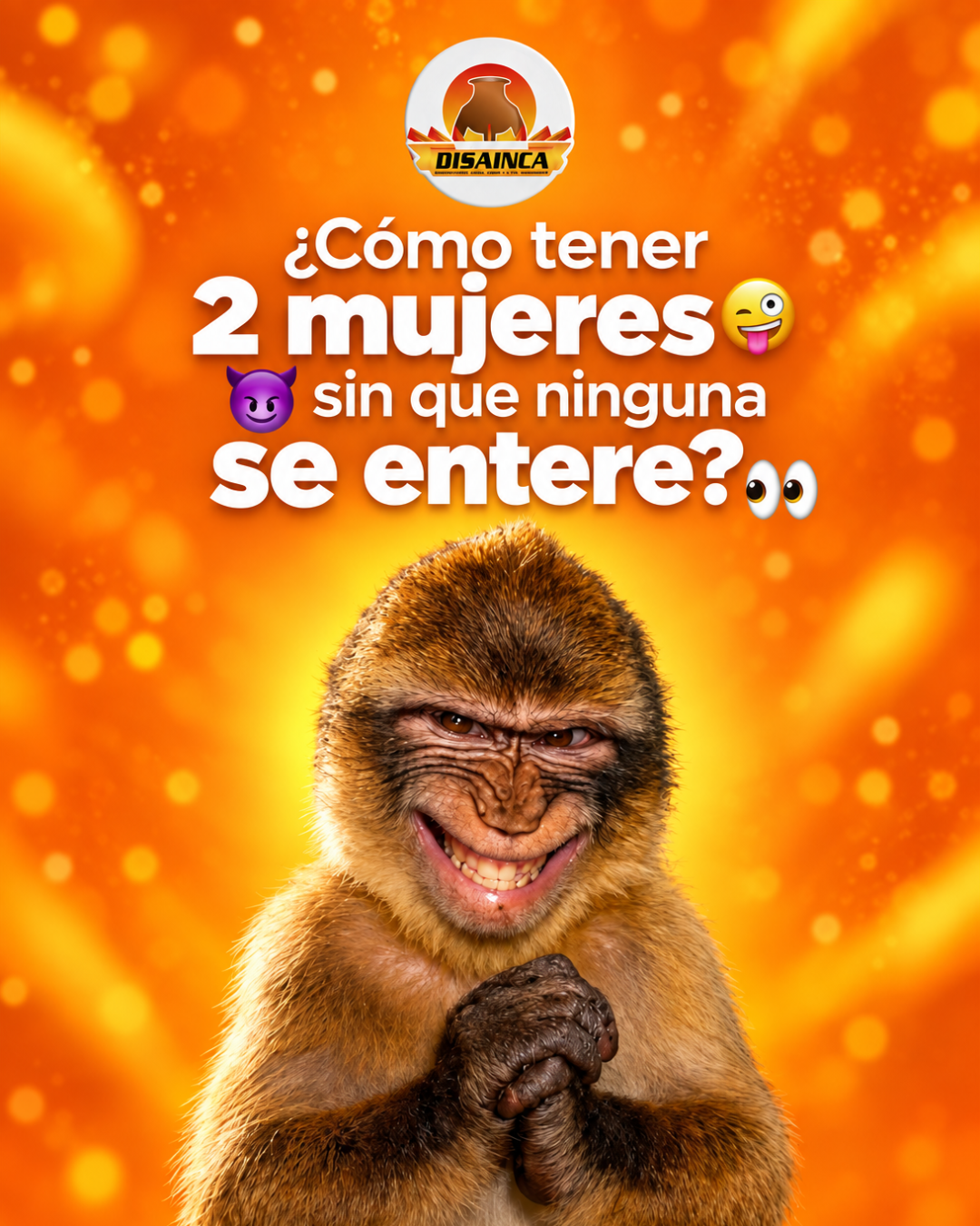 Campaña creativa para Disainca